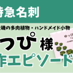 特急名刺　ゆっぴのこみち様　制作エピソード
