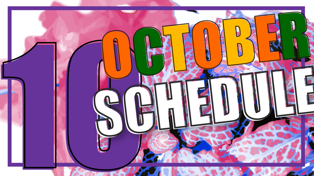 2024年10月の予約状況　DesignOfficeEmerald　エメラルド　大磯